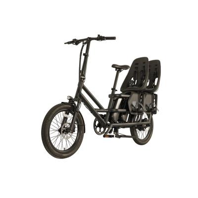 China Newest Electric Bike 20inch Cargo Aluminum Alloy E-Bike Food Delivery Ebike Double Cargo Model Batteries 48v 500w Long Rear Seat for sale