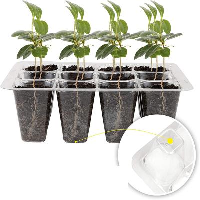 China Plants Growing Germination Kit Nutrition Soil Block Cheap Flower Stand Plastic Pots For Nursery for sale