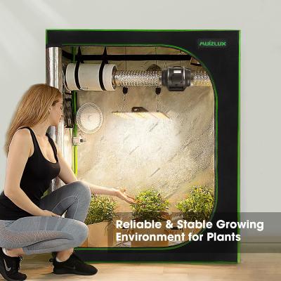 China Greenhouse Sustainable Stable Durable Wholesale Shenzhen 4x4 Grow Tent For Indoor Plant Grow for sale