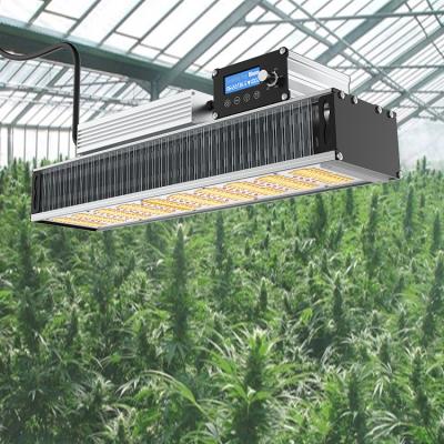 China Seed Starting Lm301b Lm301h Samgsung Adjustable Full Spectrum Grow Light Plant Indoor Led Grow Light for sale