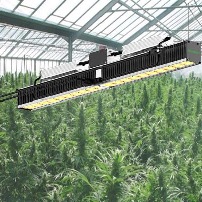 China Muizlux New Technology Spectrum Indoor Hydroponic Seed Led Grow Light For Greenhouses Plant Cultivation for sale