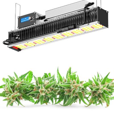 China Seed Starting MUIZLUX Horticulture 240w Custom Cob Led Full Spectrum Greenhouse Indoor Plant Grow Lamp for sale