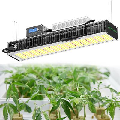 China 2021 New Lm301b Lm301h Full Spectrum Hydroponic Led Indoor Plant Grow Lights Best Seed Growing Seed Grow Lights for sale