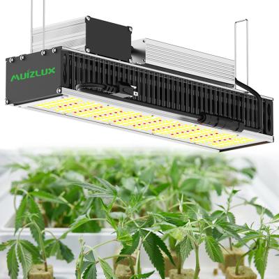 China Seed Starting Lamp Dimmable Plant Full New Spectrum Grow Light 2021 For Indoor Specialist Grow for sale