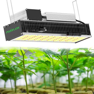 China Seed Starting Lamp Cheap Wholesaleled Full Spectrum Grow Light Indoor Hydroponic For Plants for sale