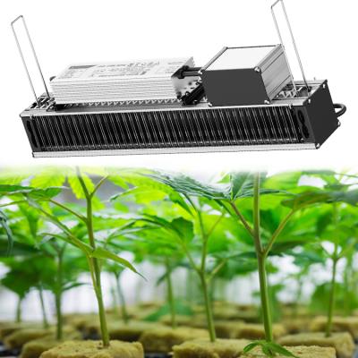 China Seed Starting Complete Hydroponics System Vegetable Outdoor Grow Light Customized Plant for sale