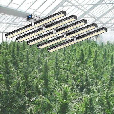 China Seed Starting Growing Bar 1200w Full Spectrum Professional Indoor Led Grow Light For Greenhouses Plant for sale