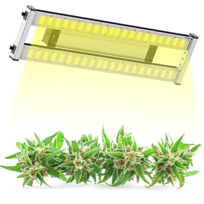 China Seed Starting Greenhouse Samgsung Lm301 480w High Quality Full Spectrum Led Grow Light Kits Indoor China for sale