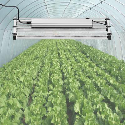 China MUIZLUXLm301b Lm301h Adjustable Spectrum Seed Starting Led Grow Lights For Sale Hydroponic Custom OEM for sale