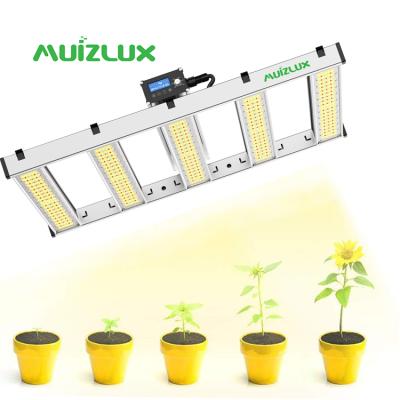 China Seed Starting MUIZLUX Hydroponic Dimmable Full Spectrum For Growing Plant Wholesale 2021 Led Grow Lights for sale