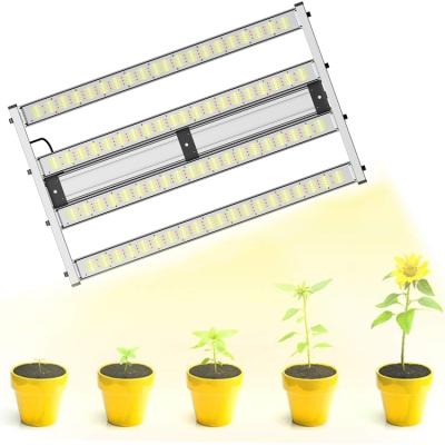 China Seed Starting Plant Indoor Full Spectrum 960w Hydroponic Strip Led Grow Light 2021 For Plant Grow for sale