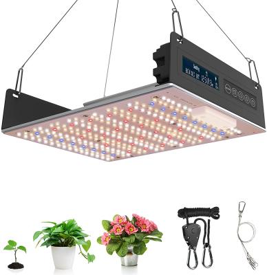 China Seed starting 2021 best selling full spectrum factory direct smart touch light 100w led led grow light for sale