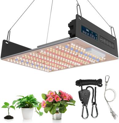 China Dimming Button SP322 Amazon Good Selling Item Grow LED Light Higher Spectrum PPF405 Full Board Led 150w Led Growing Light For Indoor Garden Lights for sale