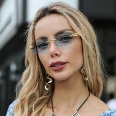 China 2022 simple cheetahs balance rimless square sunglasses color retro male and metal female sunglasses head leopard border lenses for sale