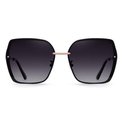 China Popular Hot Selling Fashion Sunglasses Fashion Transparent Sunglasses Unique Sunglasses for sale