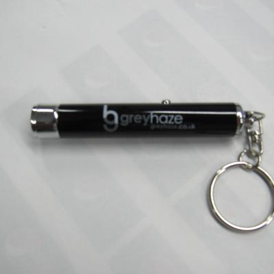 China Factory Direct Shipping ABS PLASTIC Cans Projection Photo Key Chain Projection for sale