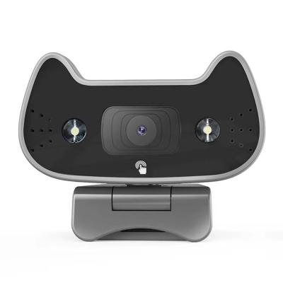 China 1932(H) X 1088(V) Tengxin New Product 1080p Webcam 30fps HD Video Call Camera 2021 With Light for sale