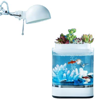 China 2021 New Geometry Plastic Small Mini Lazy Fish Tank Usb Water Garden Tank Filling Self-cleaning Aquarium With 7 Colors Led Light for sale