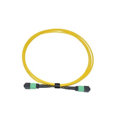 China Data Center Customized Length MTP-12 (Female) to MTP-12  (Female) APC-APC OS2 Singlemode Elite Trunk Cable, Type B Plenum (OFNP) MTP Cable for sale