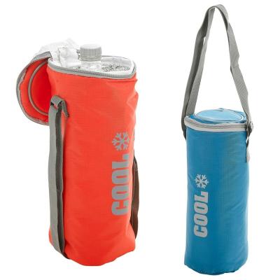 China Wenzhou Wholesale Custom Insulated Promotional Bottle Insulated Cool 2L Bag With Strap Drinks Wine Picnic Camp Carrier Cooler for sale