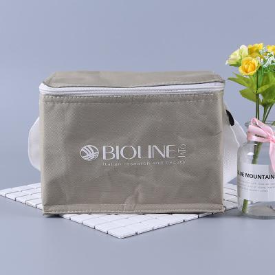 China Wholesale Custom Insulated Bag Wenzhou 6 Logo Promotional Reusable Thermal Insulation Can Non Woven Insulated Lunch Cooler Bag For Food for sale