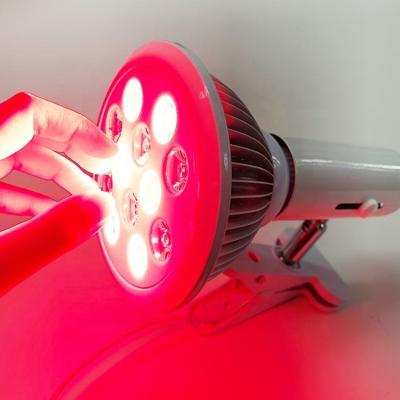 China Skin Tightening PDT 660nm 850nm Par LED Therapy Beauty Hot Selling RED Light For SPA Skin Rejuvenation Collagen for sale