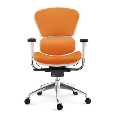 China Best Executive Chair Mutli Adjustable Functional Ergonomic Chair Greenfield Furniture Back (Height) Support 0810B for sale