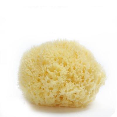 China 1 Piece Irregular Child's Sponge Made of Pure Natural Materials for Marke For Size Is 8*8*4.2 cm and Weight is 10 Gram for sale