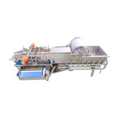 China Industrial snack factory fruit and vegetable washing equipment machine for sale