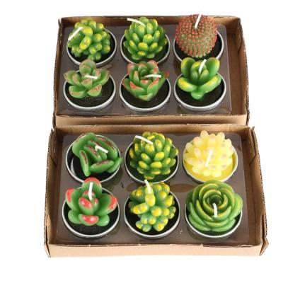 China ART Affordable Boutique Each Set of 12 Luxury Custom Soy Candles Cactus Candles in Different Shapes for sale