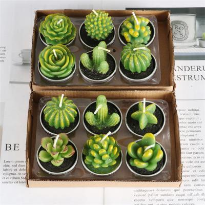 China ART Good Material Each Set of 12 Different Shapes Private Label Cactus Candles Scented Candles for sale