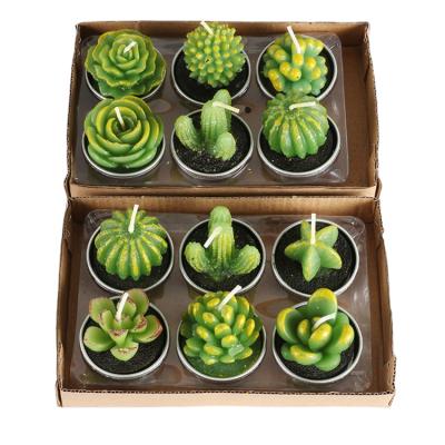 China ART High Repurchase Rate Each Set Of 12 Cactus Candles Luxury Scented Candles Sets Of Different Shapes for sale