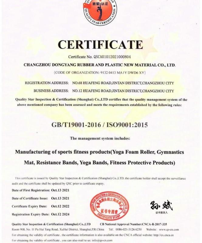 ISO9001 - Changzhou Dongyang Rubber and Plastic New Material Co.,Ltd.