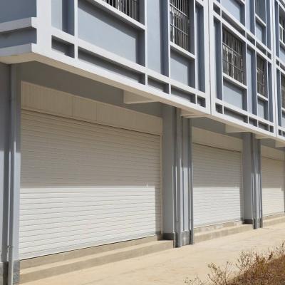 China Cheap high quality anti-theft aluminum or steel roller shutter roll up door from China for sale