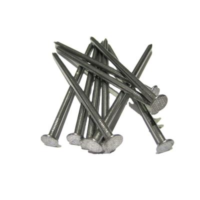 China 2021 sanxing//Galvanized building roofing joint nails from anping manufacturer for sale