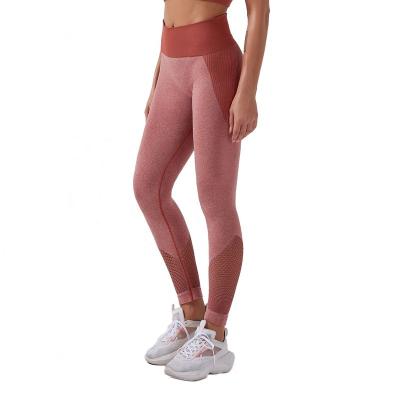 China Breathable Two Piece Set Sexy Sports Stripes Printed Camisole Bras And Tights Leggings Yoga Suit for sale