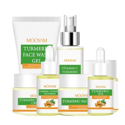 China Customizable Hot Selling Turmeric Face Skin Care Set Moisturizing Anti Wrinkle Cleansing Complete Care Turmeric Set for sale