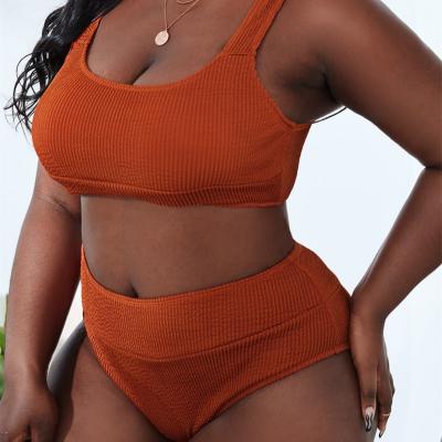 China Solid Color Plus Size Rib High Waist Bathing Suits PS2039 Best Sellers For Women Plus Size Bikini And Beach Wear for sale