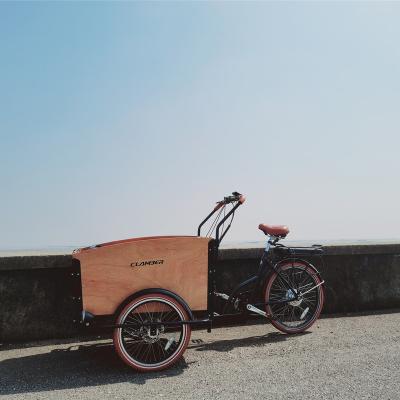 China Hot Selling Steel 3 Wheel Cargo Bike Front Wooden Box Disc Brake Pedal Mechanical Aid for sale