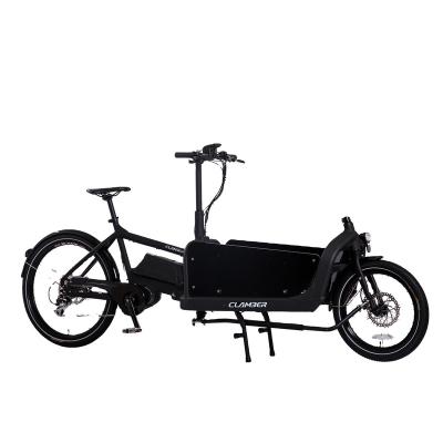 China Cargo Electric Bike Aluminum Alloy Frame Two Wheel Family Drive Medium Transport Bike For Sale for sale