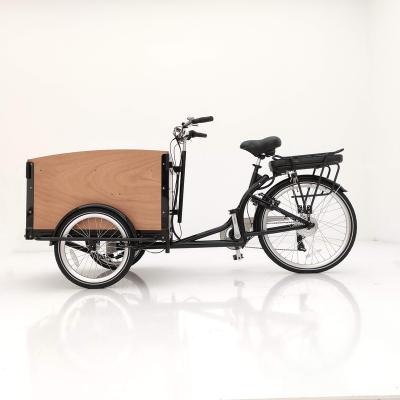 China To take the children& 250W Electric Pet Cargo Bike Front Loading Tricycle Three Wheel Bicycle Delivery Bike For Sale for sale