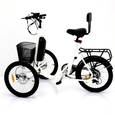 China To take the children& pets 3 wheel electric bicycle front loading cargo tricycle 250W cargo bike for sale