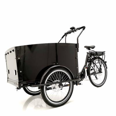 China To take the children& pets electric three wheel front loading box cargo bike 250W family cargo tricycle for sale for sale