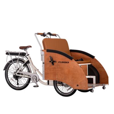 China For Adult People Electric Cargo Bike Front Loading 500W Motor Cargo Tricycle For Adult People for sale