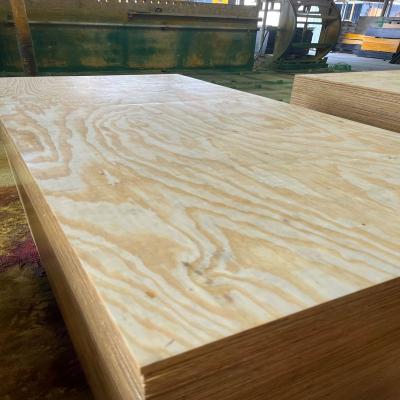 China E1 Glue Modern Knotless Pine Concrete Formwork Phenolic Faced Construction Plywood for sale