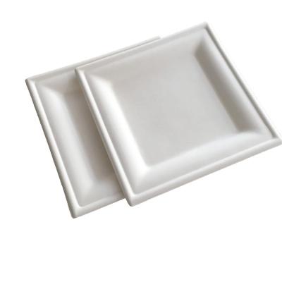 China 8 Inch Biodegradable Compostable Square Dish Made From Bagasse Sugarcane Fiber Dish for sale