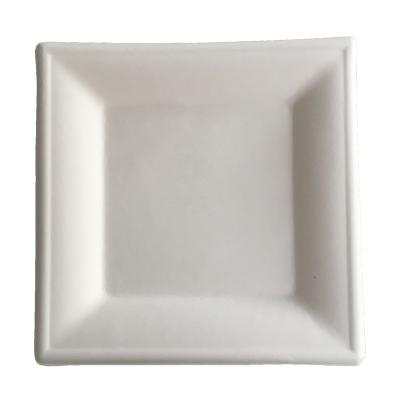 China 10 Inch Disposable Dessert Dish Compostable Square Biodegradable Dish Bagasse for sale