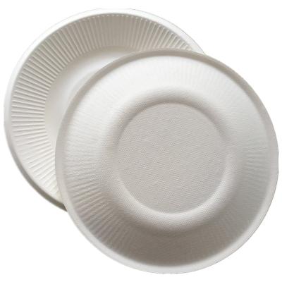 China 8 Inch Biodegradable Dish with Stripe Rim Biodegradable Compostable Dinnerware Bagasse Dish for sale