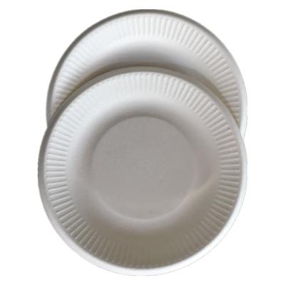 China Biodegradable Biodegradable Paper Pulp Plates 6 Inch Plant Fiber Plate With Stripe Rim Plate for sale