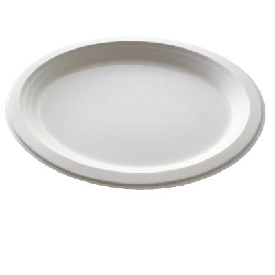 China Oval Large 12.5X10 Inch Oval Biodegradable Dish 100% Bagasse Eco-Friendly Dish for sale